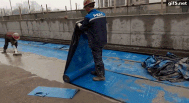 圖片3.gif